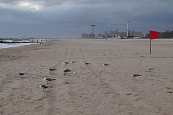 Coney Beach: Facing the wind