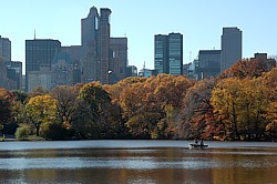 Boat rowing: The calmness in the mid of the city's storm