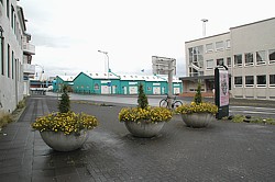 In vain: Flower decoration on harbour concrete