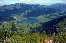 Walchsee vom Lochnerhorn